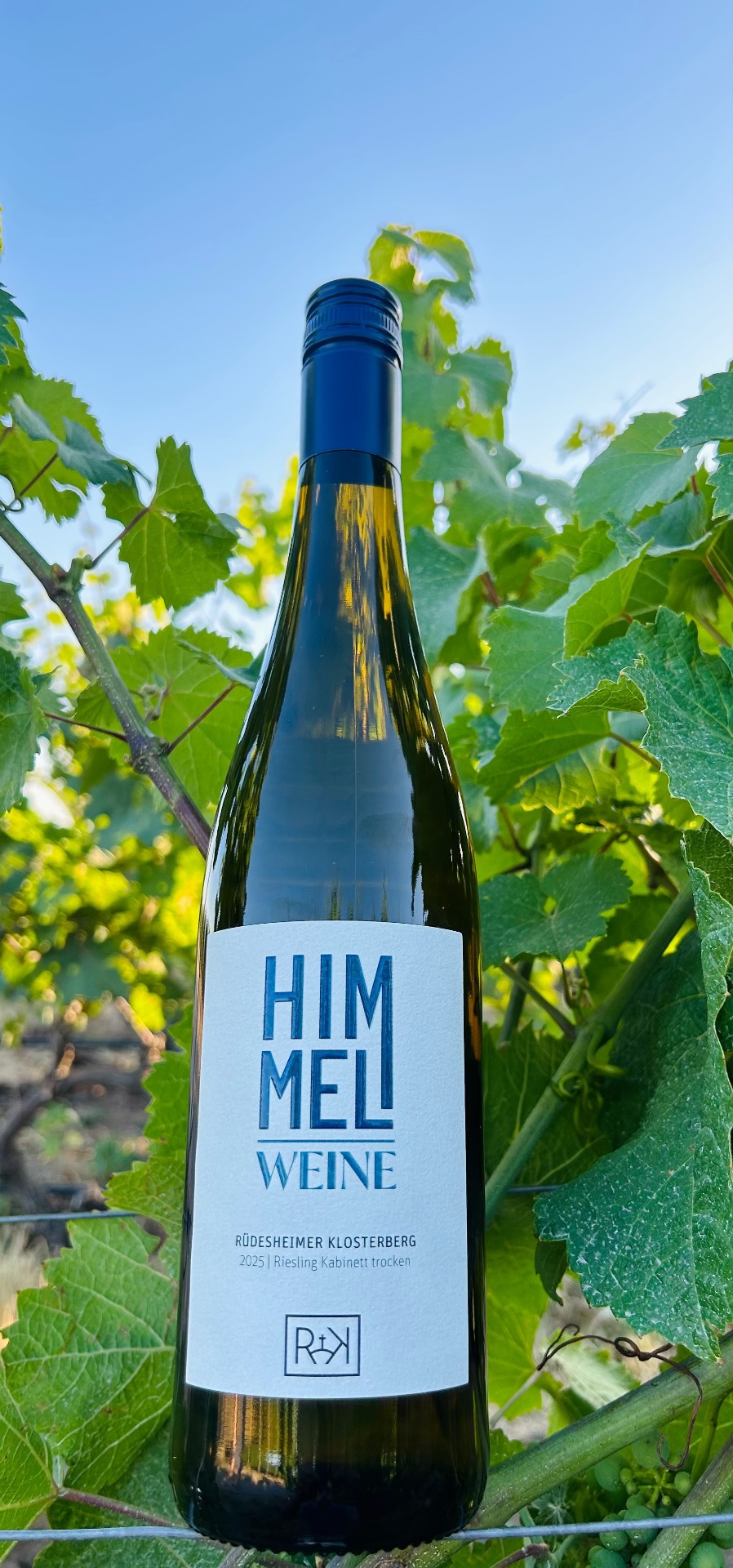 2025er Rüdesheimer Klosterberg Riesling Kabinett trocken
