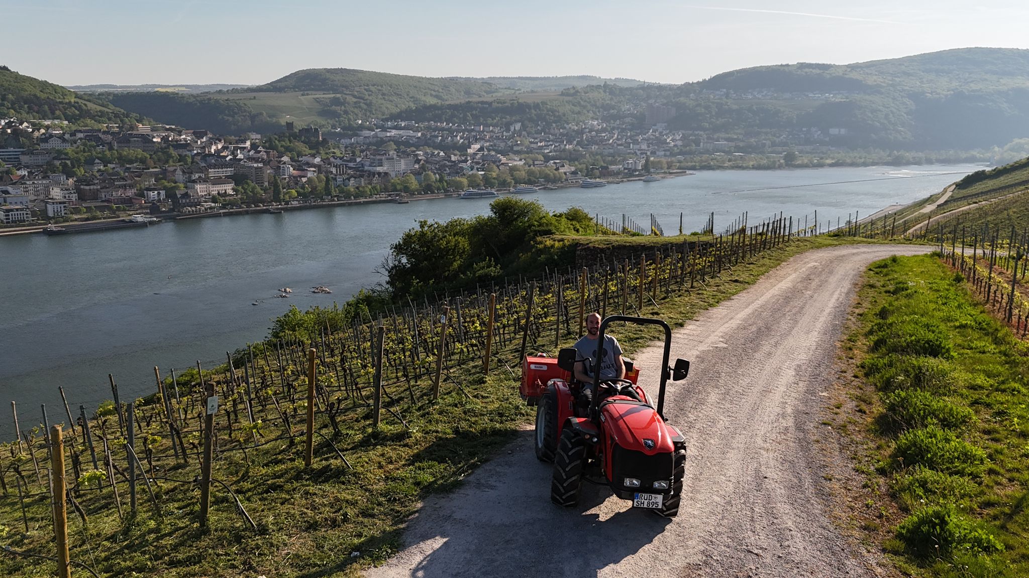 Weg durch die Weinberge im Rheingau